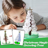 🎄✨ **Magic Growing Crystal Christmas Tree – DIY Decoration Wonder** ✨🎄